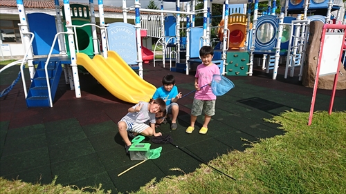 24���E���َq��a�̍g���^���g���̌��I